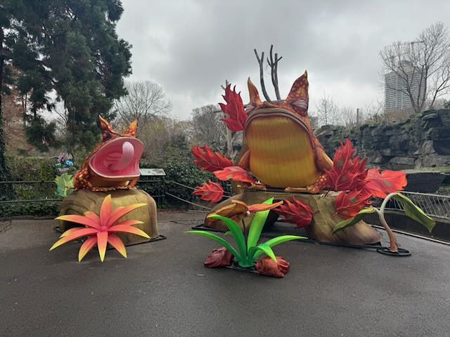 large colourful frogs set up in he Colugne zoo.